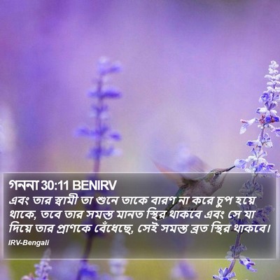 গননা 30:11 BENIRV Bible Verse Image