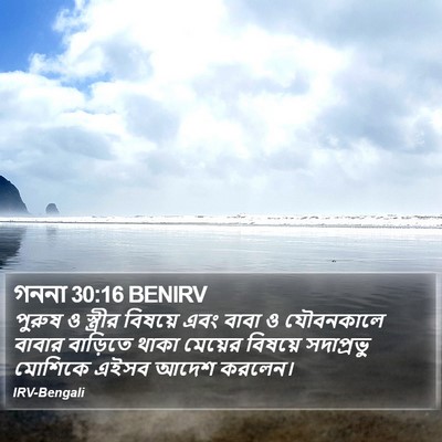 গননা 30:16 BENIRV Bible Verse Image