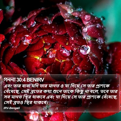 গননা 30:4 BENIRV Bible Verse Image