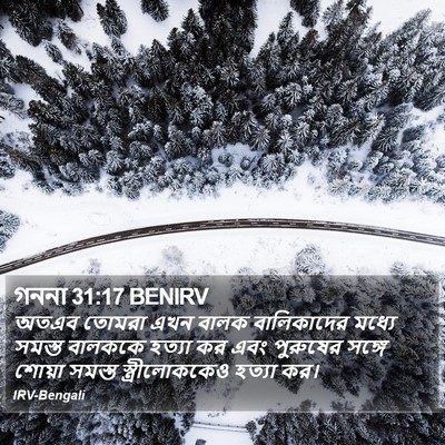 গননা 31:17 BENIRV Bible Verse Image