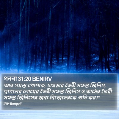 গননা 31:20 BENIRV Bible Verse Image