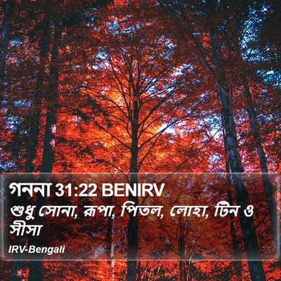 গননা 31:22 BENIRV Bible Verse Image