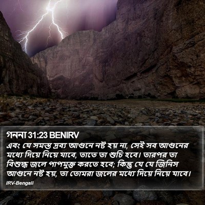 গননা 31:23 BENIRV Bible Verse Image