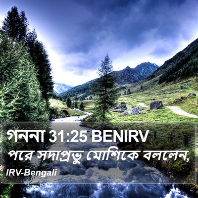 গননা 31:25 BENIRV Bible Verse Image