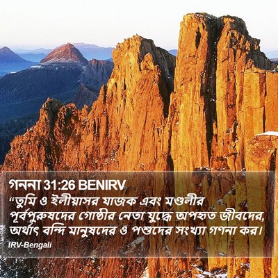 গননা 31:26 BENIRV Bible Verse Image