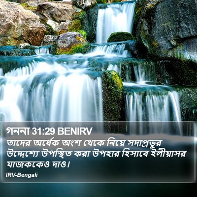 গননা 31:29 BENIRV Bible Verse Image