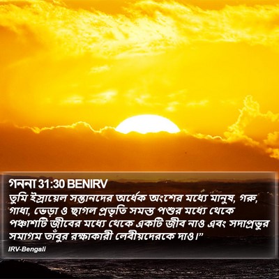 গননা 31:30 BENIRV Bible Verse Image