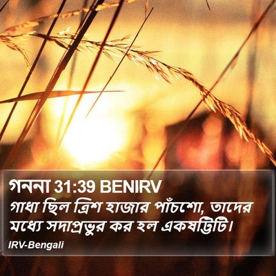 গননা 31:39 BENIRV Bible Verse Image
