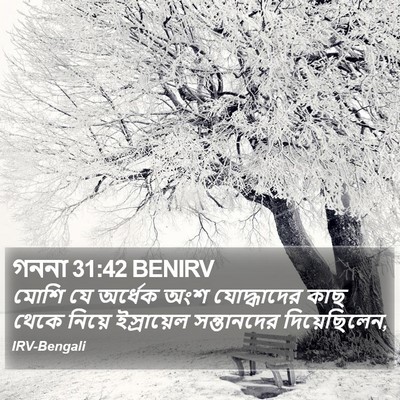 গননা 31:42 BENIRV Bible Verse Image