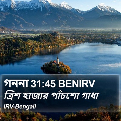গননা 31:45 BENIRV Bible Verse Image