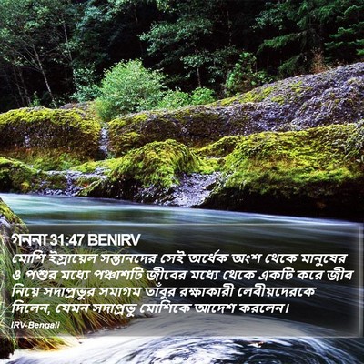গননা 31:47 BENIRV Bible Verse Image