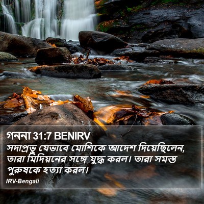 গননা 31:7 BENIRV Bible Verse Image