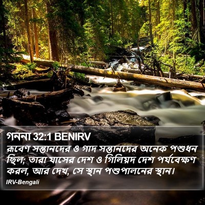 গননা 32:1 BENIRV Bible Verse Image