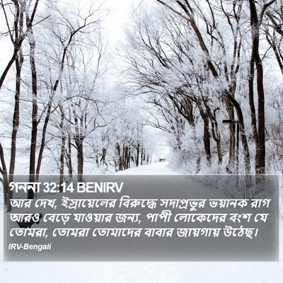 গননা 32:14 BENIRV Bible Verse Image