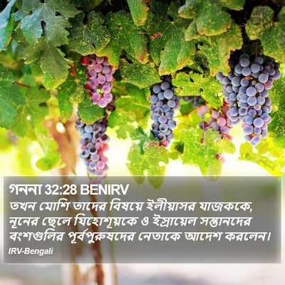 গননা 32:28 BENIRV Bible Verse Image