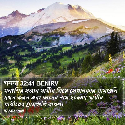 গননা 32:41 BENIRV Bible Verse Image