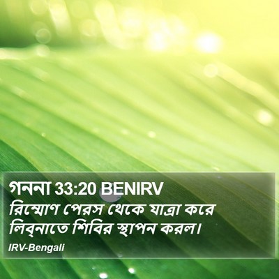 গননা 33:20 BENIRV Bible Verse Image