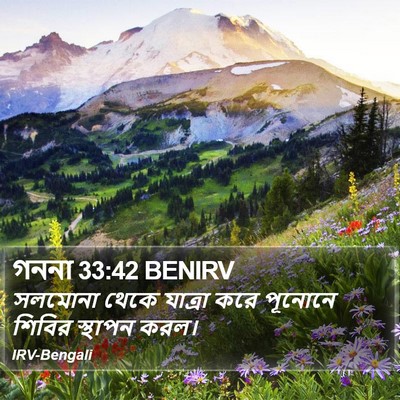 গননা 33:42 BENIRV Bible Verse Image
