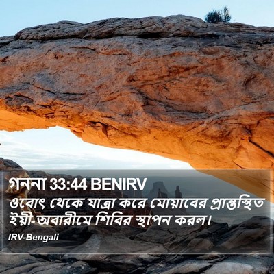 গননা 33:44 BENIRV Bible Verse Image