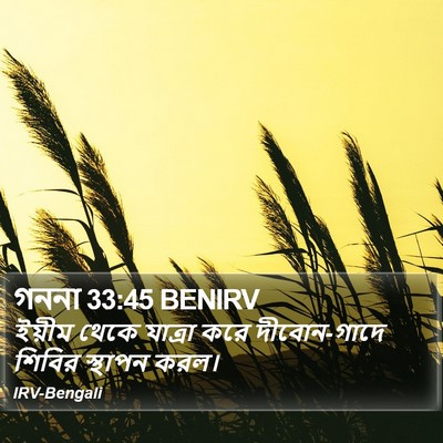 গননা 33:45 BENIRV Bible Verse Image