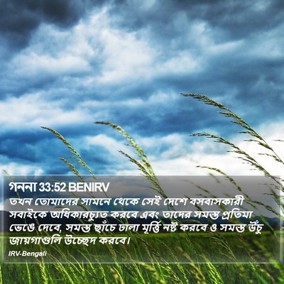 গননা 33:52 BENIRV Bible Verse Image