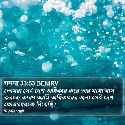গননা 33:53 BENIRV Bible Verse Image