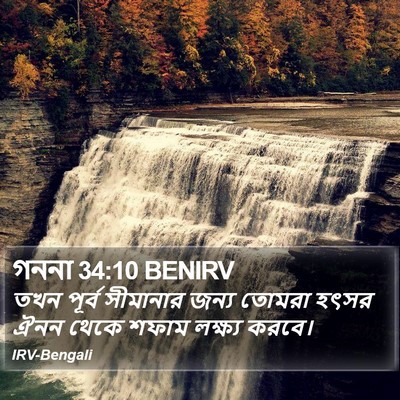 গননা 34:10 BENIRV Bible Verse Image