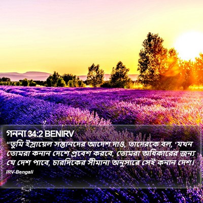 গননা 34:2 BENIRV Bible Verse Image