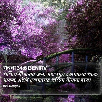 গননা 34:6 BENIRV Bible Verse Image