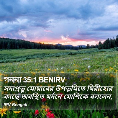গননা 35:1 BENIRV Bible Verse Image