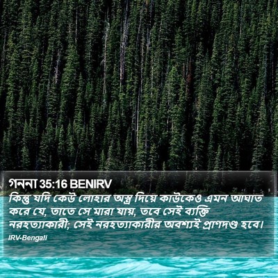 গননা 35:16 BENIRV Bible Verse Image