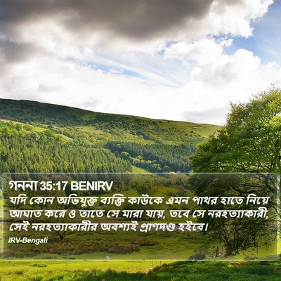 গননা 35:17 BENIRV Bible Verse Image