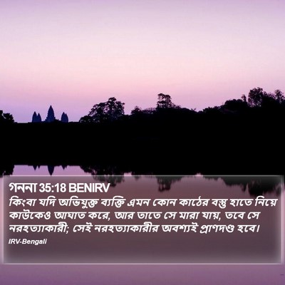 গননা 35:18 BENIRV Bible Verse Image