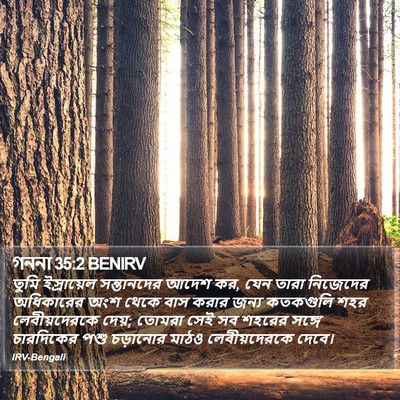 গননা 35:2 BENIRV Bible Verse Image