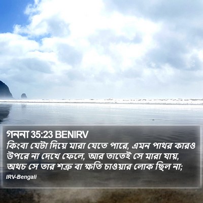গননা 35:23 BENIRV Bible Verse Image