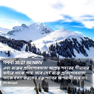 গননা 35:27 BENIRV Bible Verse Image