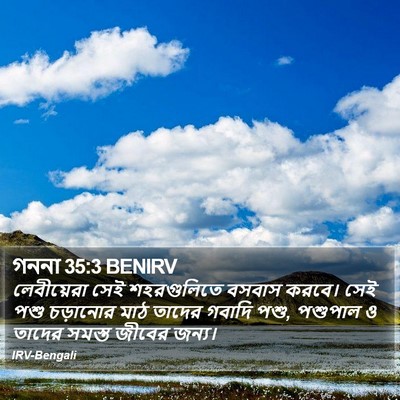 গননা 35:3 BENIRV Bible Verse Image