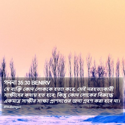গননা 35:30 BENIRV Bible Verse Image