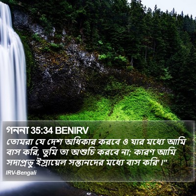 গননা 35:34 BENIRV Bible Verse Image