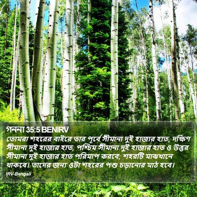 গননা 35:5 BENIRV Bible Verse Image