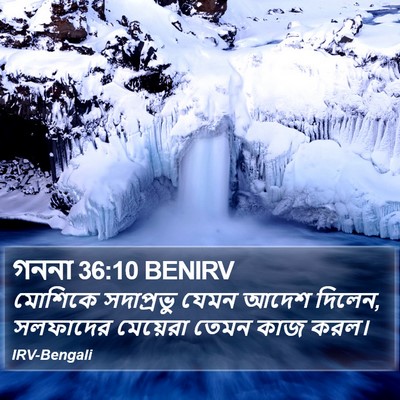 গননা 36:10 BENIRV Bible Verse Image