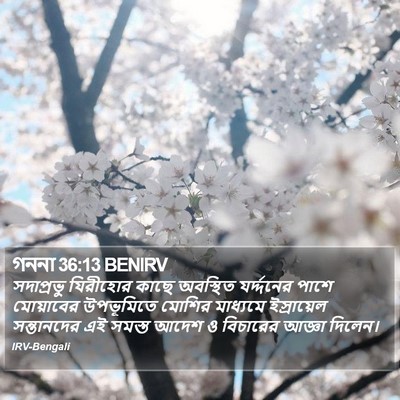 গননা 36:13 BENIRV Bible Verse Image