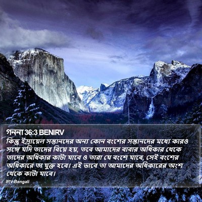 গননা 36:3 BENIRV Bible Verse Image