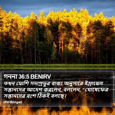 গননা 36:5 BENIRV Bible Verse Image