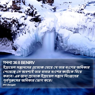 গননা 36:8 BENIRV Bible Verse Image