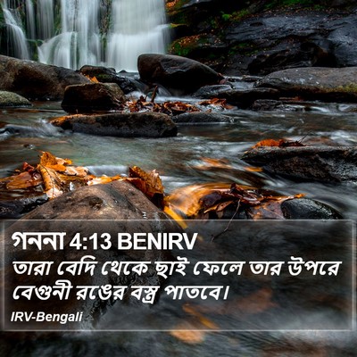 গননা 4:13 BENIRV Bible Verse Image