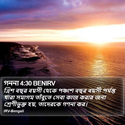 গননা 4:30 BENIRV Bible Verse Image