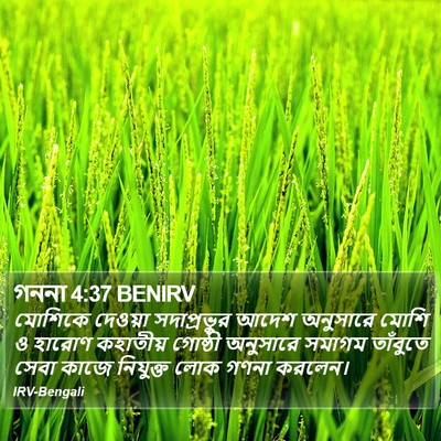গননা 4:37 BENIRV Bible Verse Image