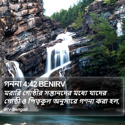 গননা 4:42 BENIRV Bible Verse Image