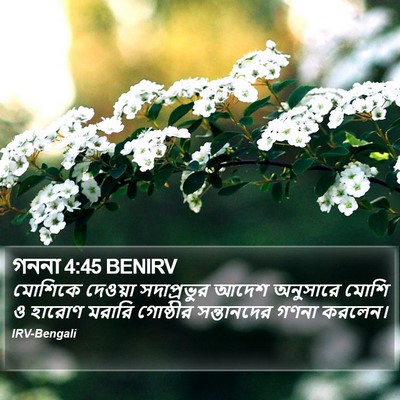 গননা 4:45 BENIRV Bible Verse Image